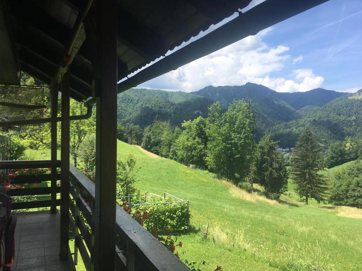 B&B Cerne Polhov Gradec Bagian luar foto