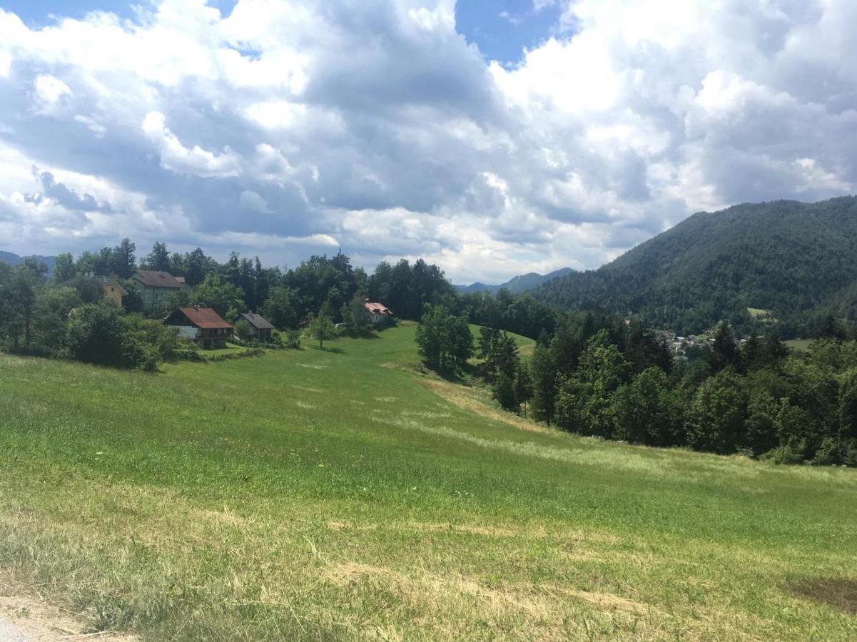 B&B Cerne Polhov Gradec Bagian luar foto
