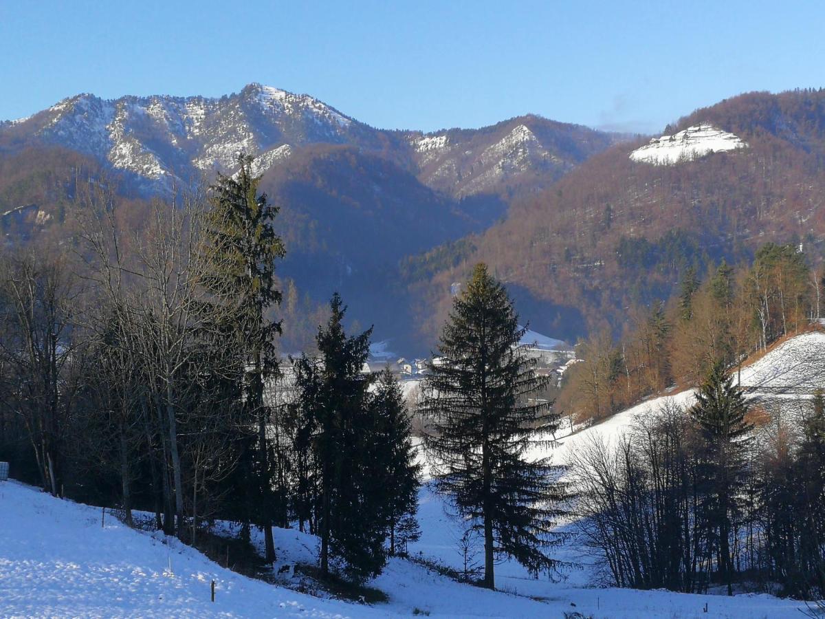 B&B Cerne Polhov Gradec Bagian luar foto
