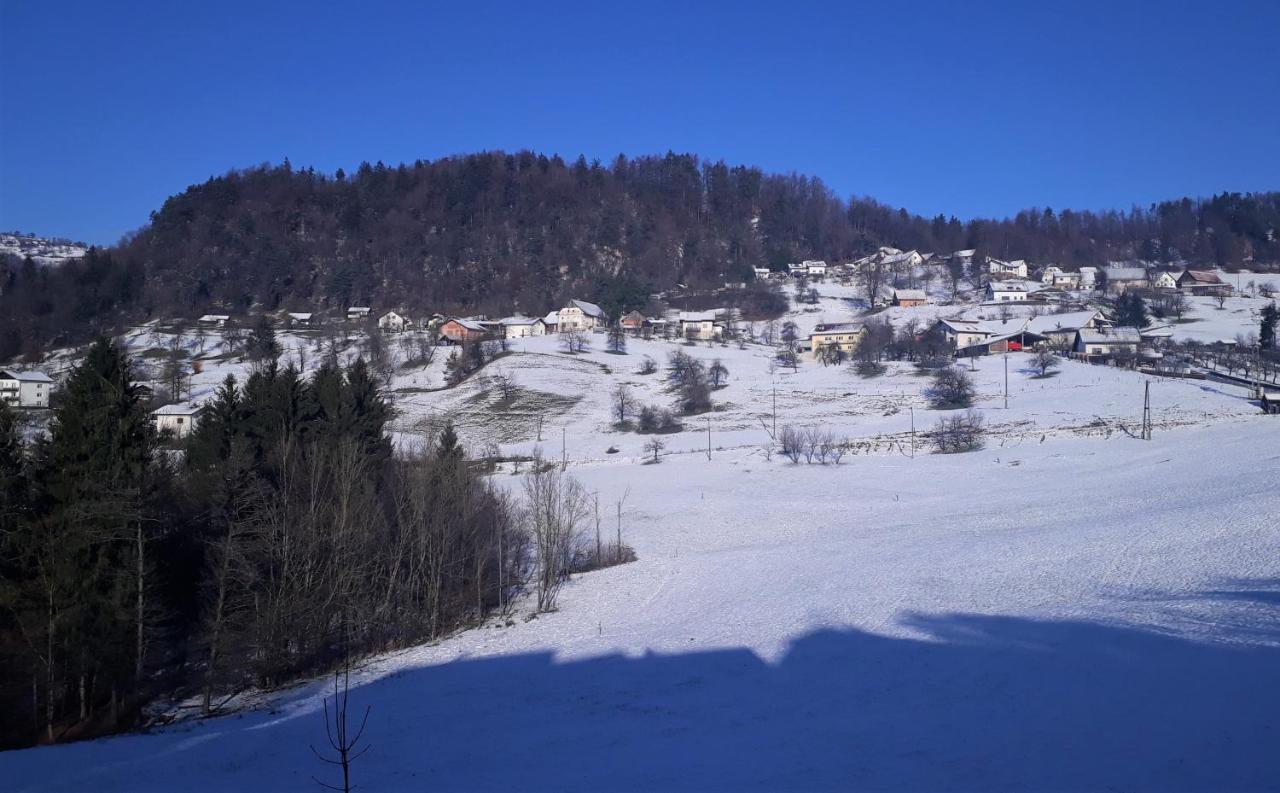 B&B Cerne Polhov Gradec Bagian luar foto