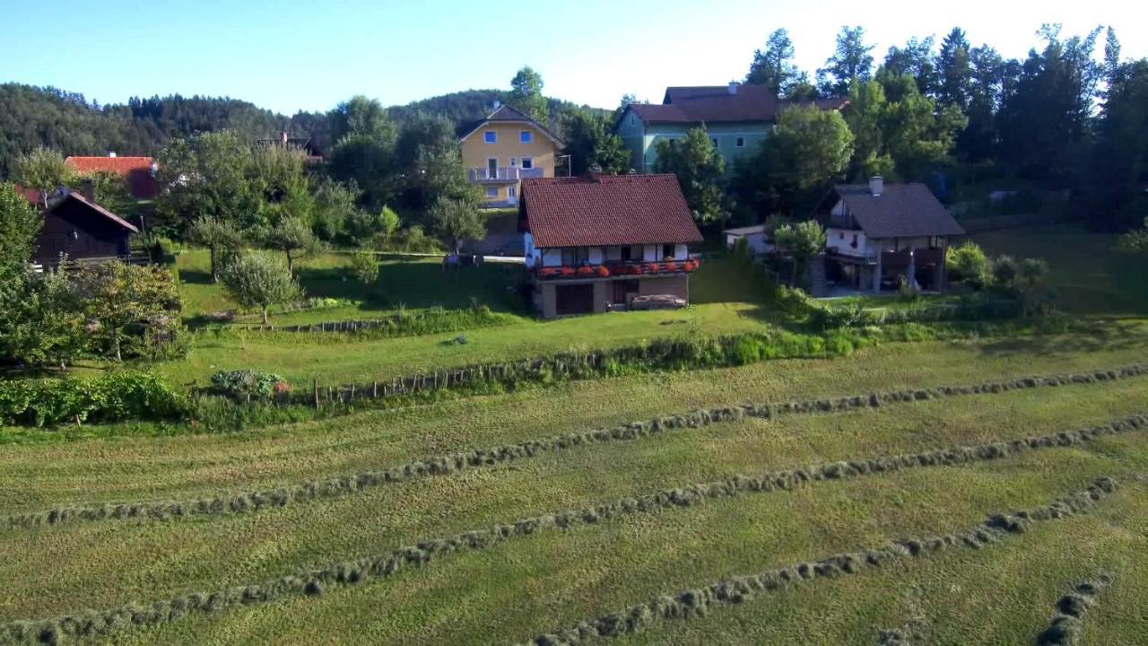 B&B Cerne Polhov Gradec Bagian luar foto