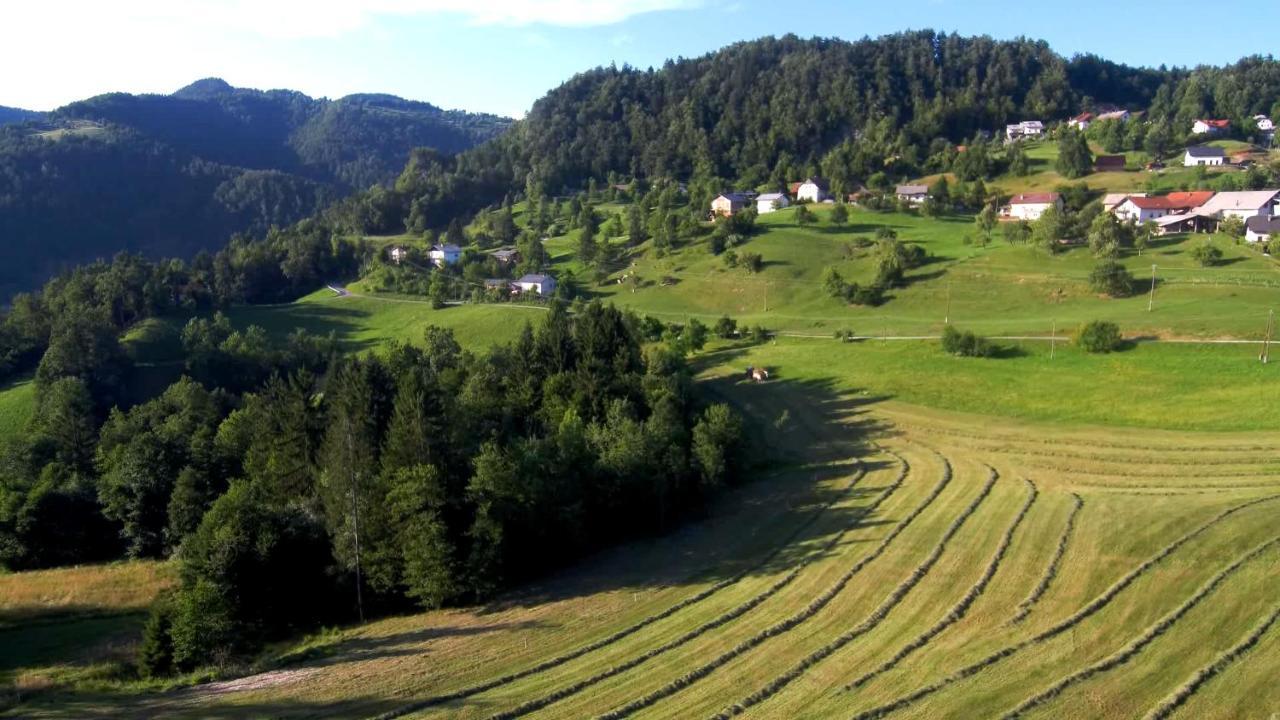 B&B Cerne Polhov Gradec Bagian luar foto